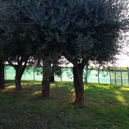 La Giara